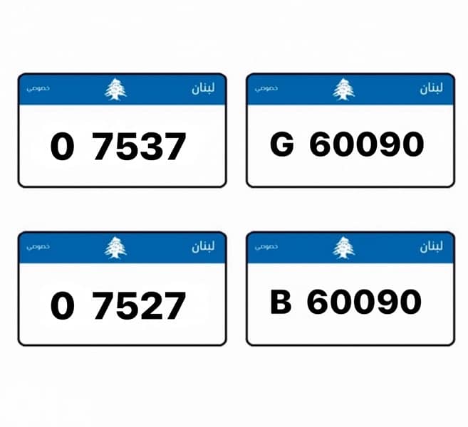 Special car plate for sale 5 digits 0