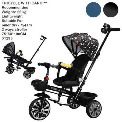 3 in 1 Tricycle
