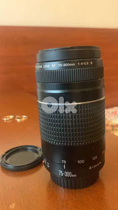 Canon EF 75-300mm f/4-5.6 telephoto zoom lens