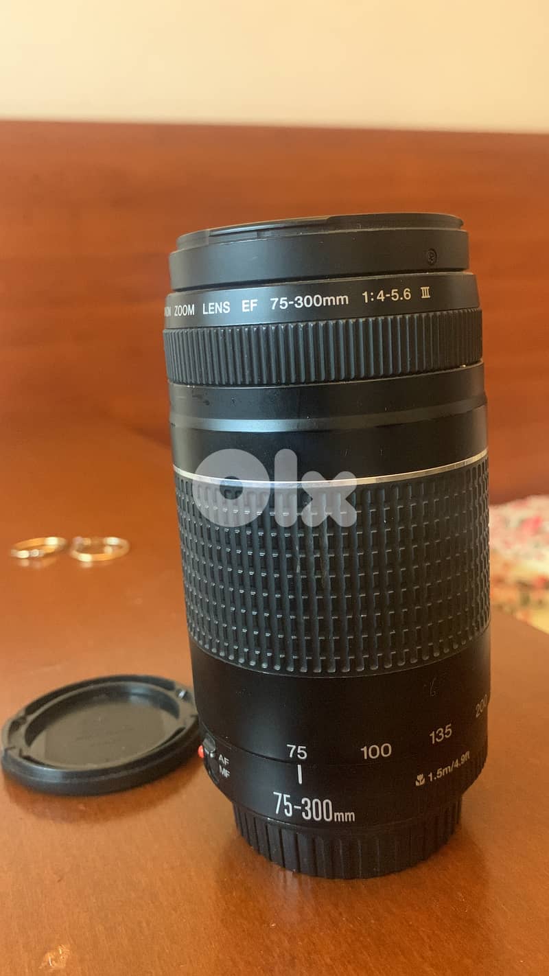 Canon EF 75-300mm f/4-5.6 telephoto zoom lens 0