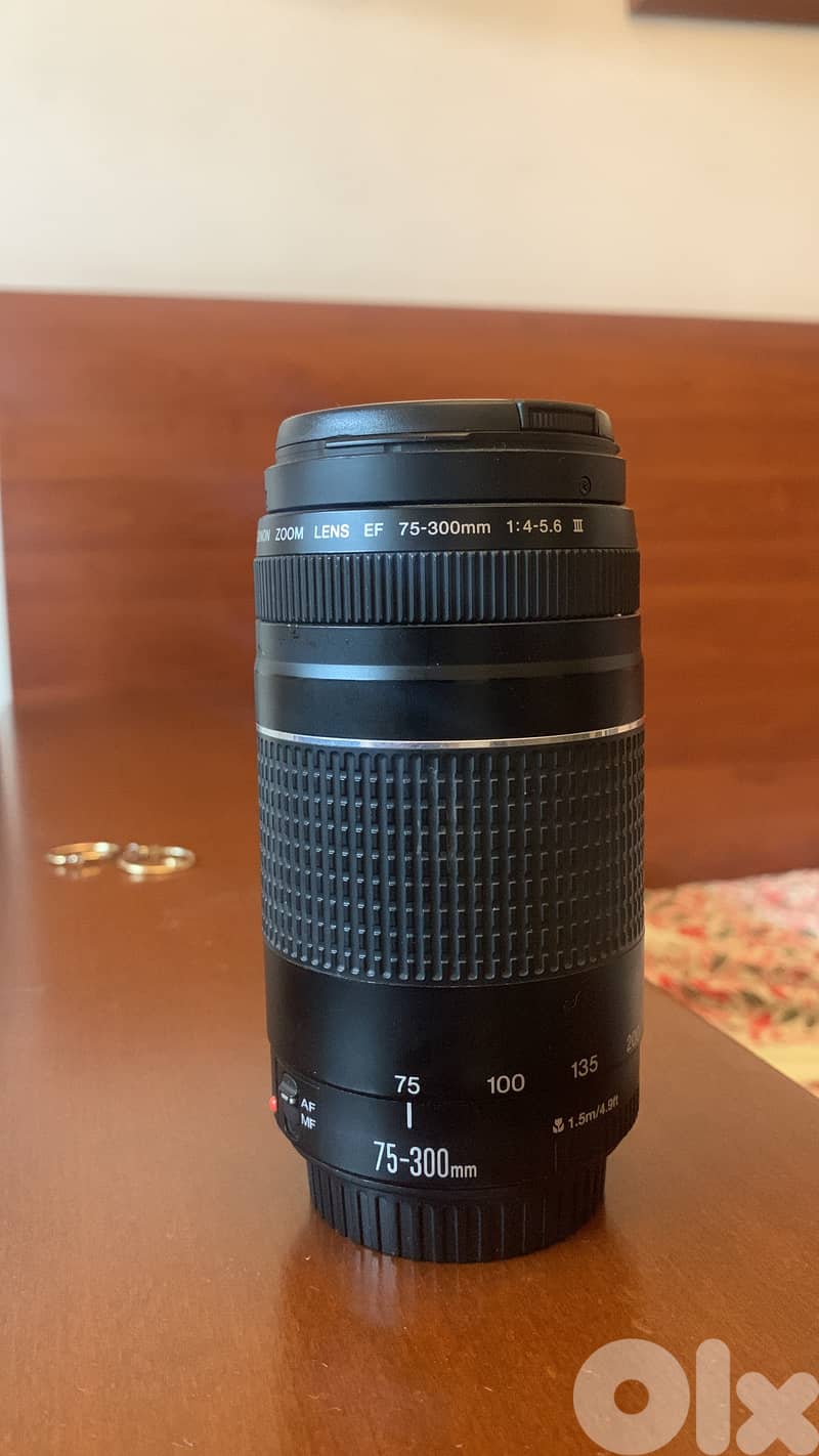 Canon EF 75-300mm f/4-5.6 telephoto zoom lens 2