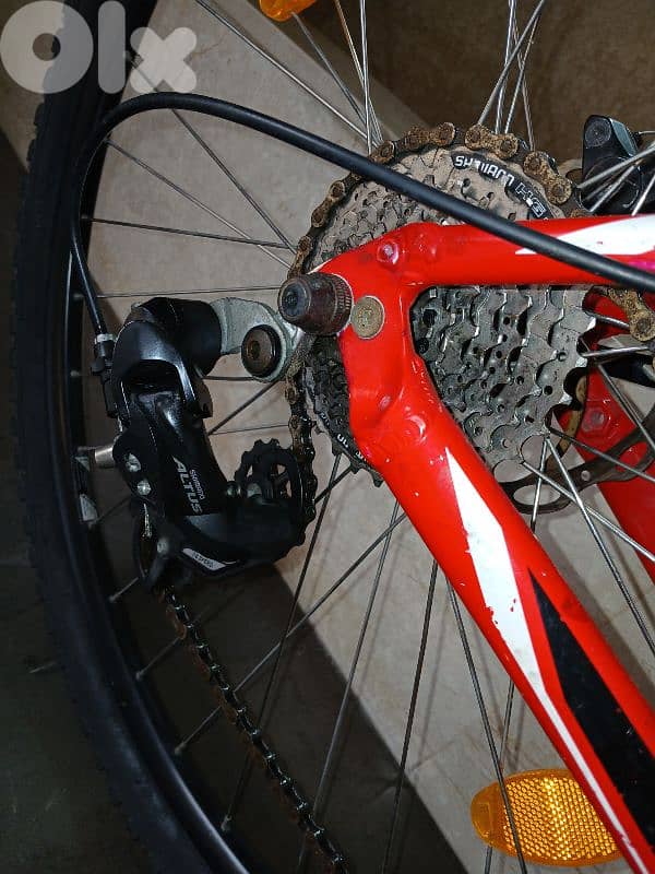 Specialized  Hardrok 29 5