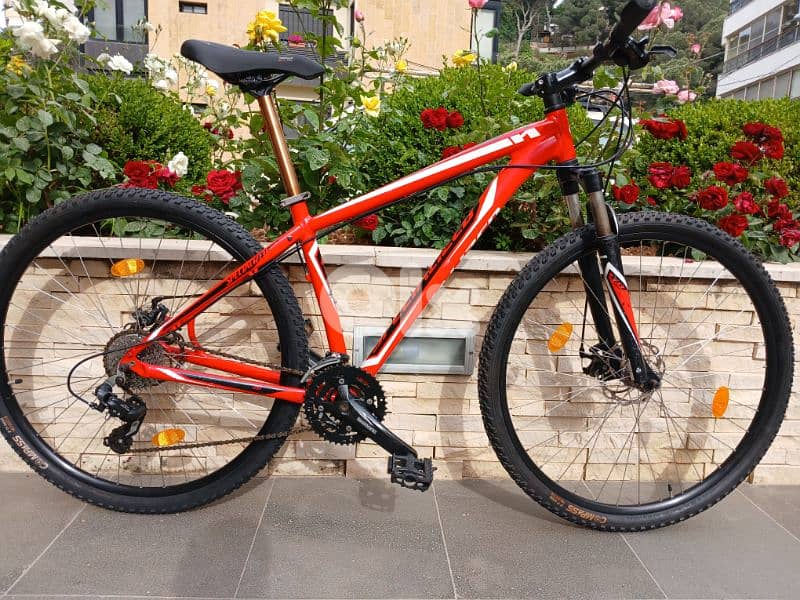 Specialized  Hardrok 29 8