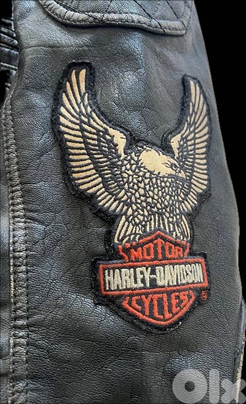 Harley Davidson Leather Jacket 1