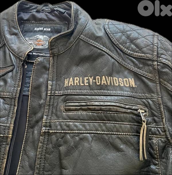 Harley Davidson Leather Jacket 2