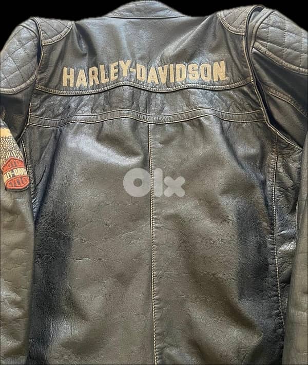 Harley Davidson Leather Jacket 3