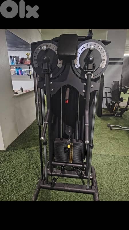 standing lateral and fly machine new 2