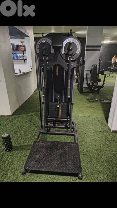 standing lateral and fly machine new