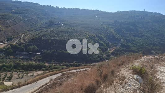 Land for sale in Kfarhazir-Koura - أرض للبيع في كفرحزير - الكورة