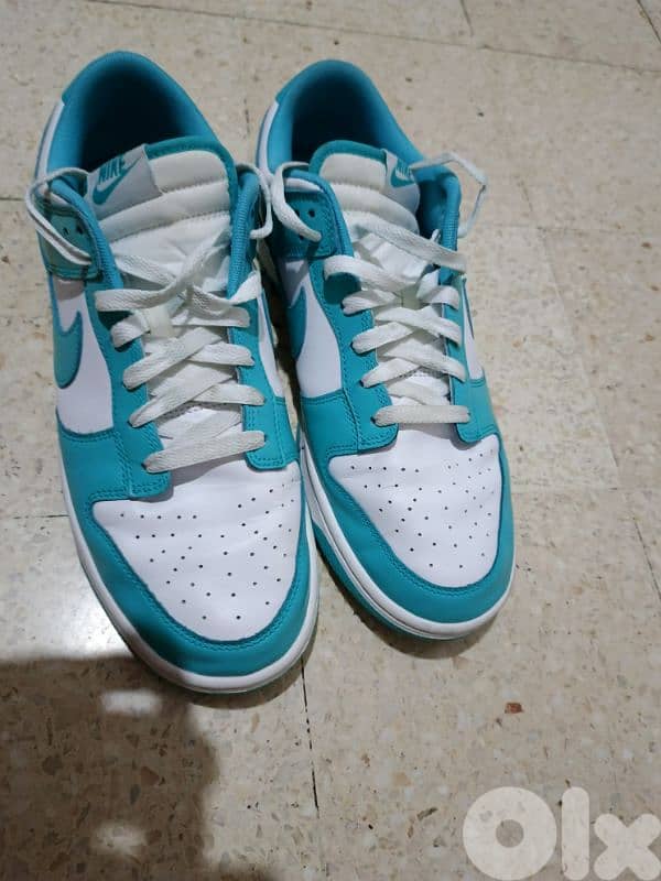 Nike Dunk 4