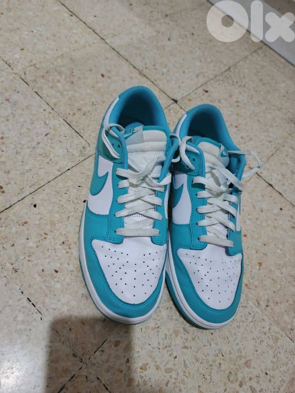Nike Dunk 5