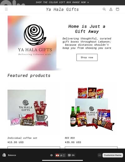 Online shop- Ready to profit!