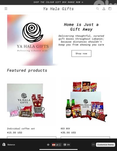 Online Shop-Ready to profit!