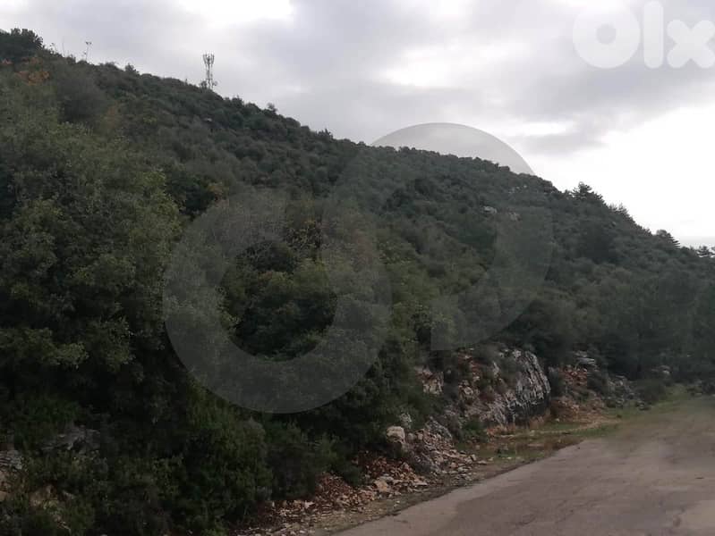 amazing opportunity, prime area, jbeil, blat/جبيل  REF#JA127516 1