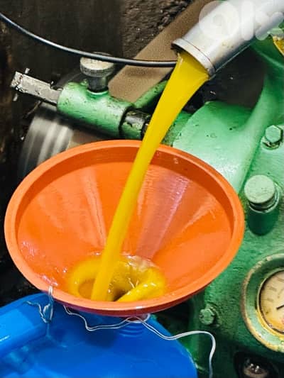 Premium Olive Oil – Freshly Pressed