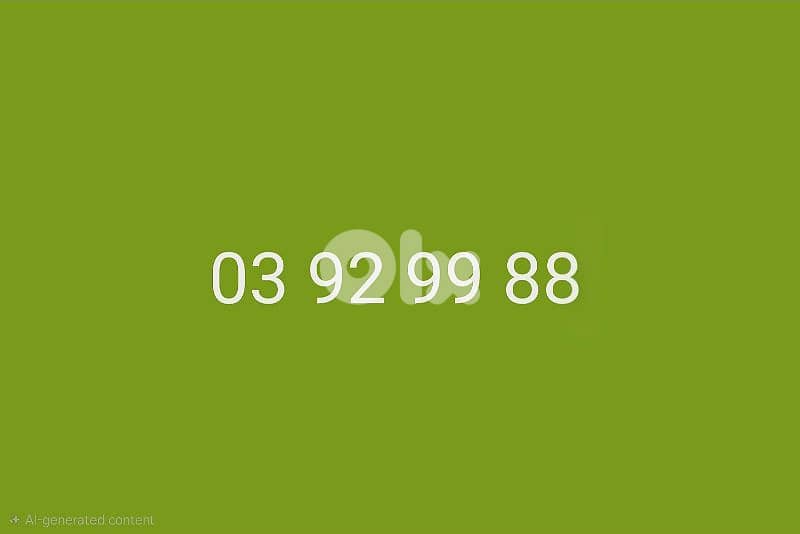 03 92 99 88 0