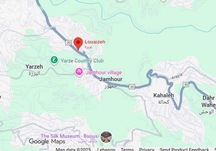 1000m2 Prime Land for sale in Louaizeh - أرض للبيع في اللويزة