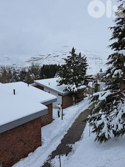 Faraya & Ouyoun el Simen chalet Special Deals