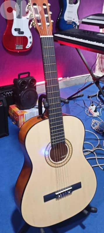 Guitar 5