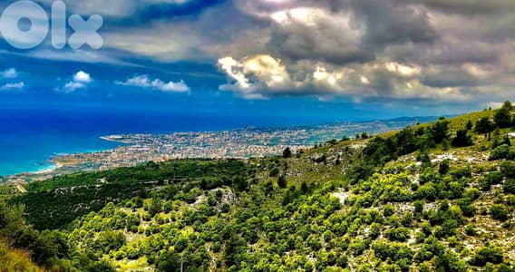 Investment Opportunity! Land in Strategic Halat - Jbeil with Unpa