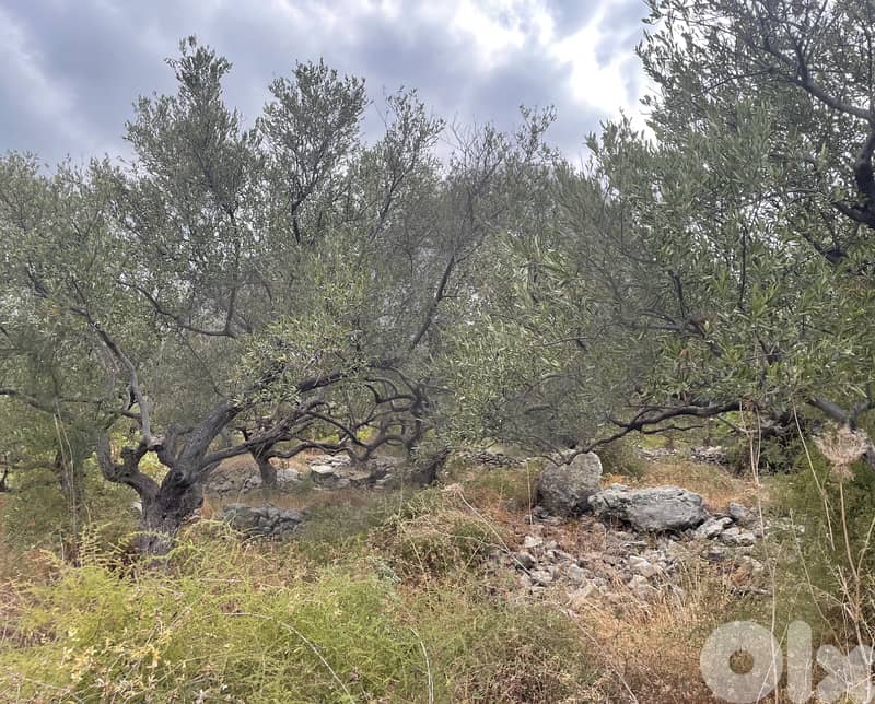unobstructed sea and mountain view in kfarkede/كفركيده  REF#FD127550 1