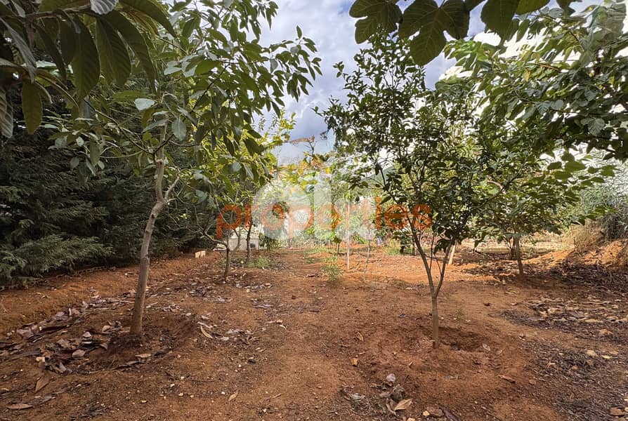 Land For Sale In Awkar – CPTA35 0