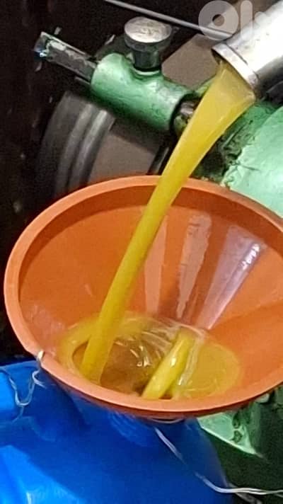 زيت زيتون