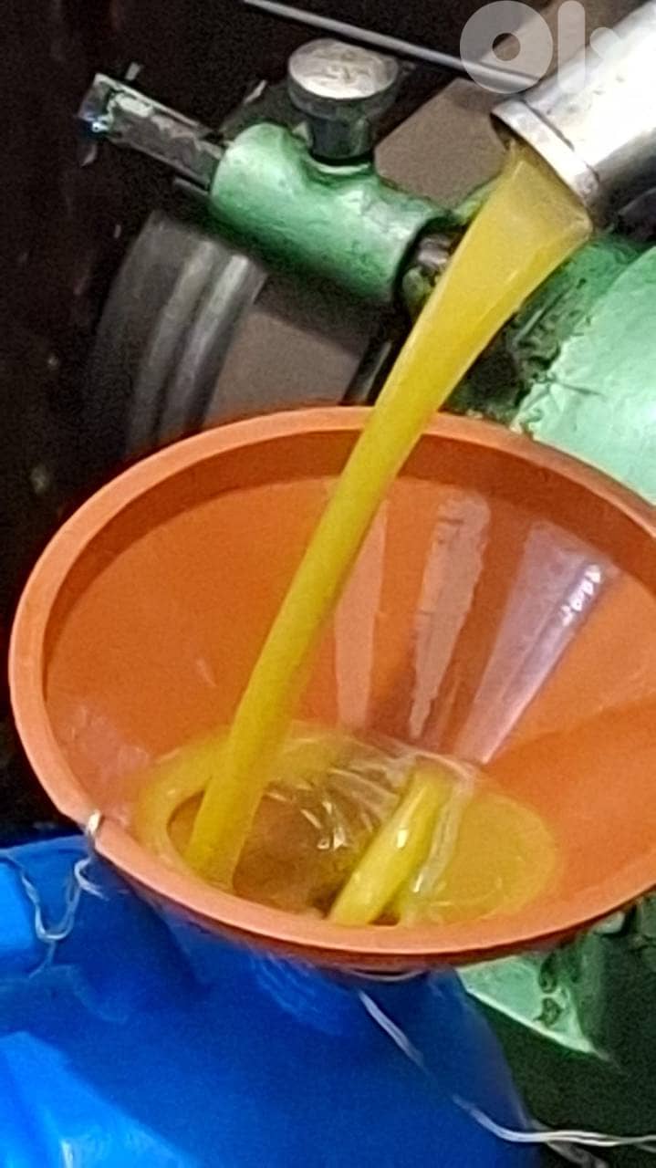 زيت زيتون 0