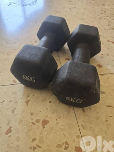 Dumbles pair ( 6kg each )