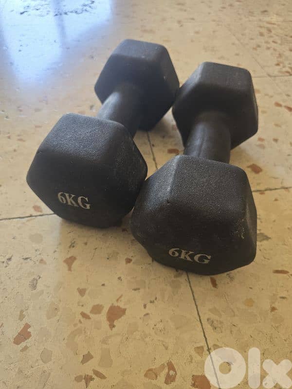 Dumbles pair ( 6kg each ) 0