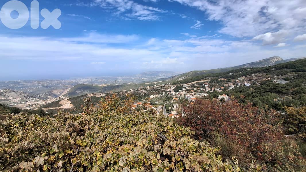 Land for sale in Aabdine-Bcharre - أرض للبيع في عبدين - بشري 0