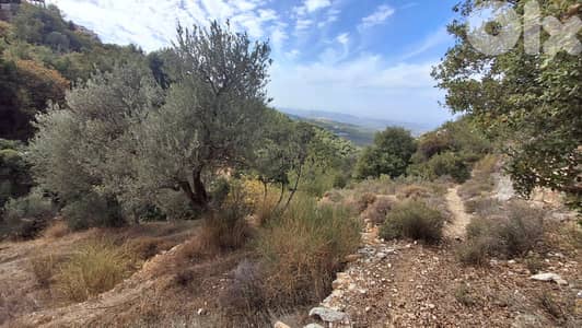Land for sale in Barhalioun-Bcharre - أرض للبيع في برحليون - بشري