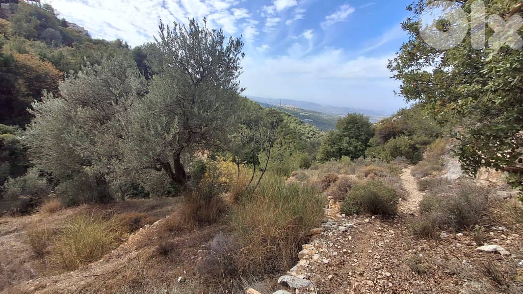 Land for sale in Barhalioun-Bcharre - أرض للبيع في برحليون - بشري 0