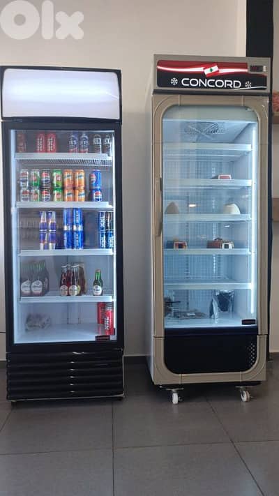 Concord Freezers and Cooler