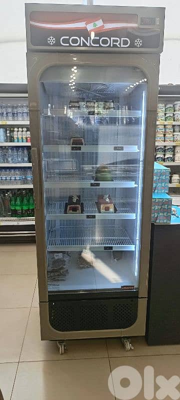 Concord Freezers and Cooler 1