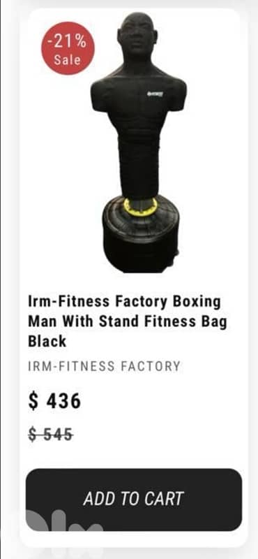 IRM-Fitness Boxing