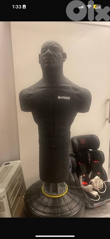 IRM-Fitness Boxing 1