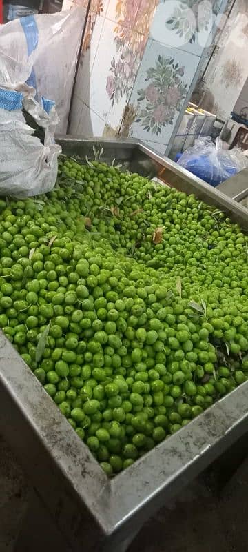 زيت زيتون خضير شغل اليوم 0