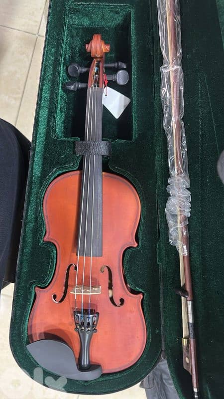 violin 4