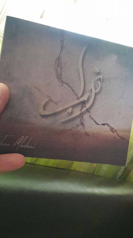 jean madani . / ziad group 0