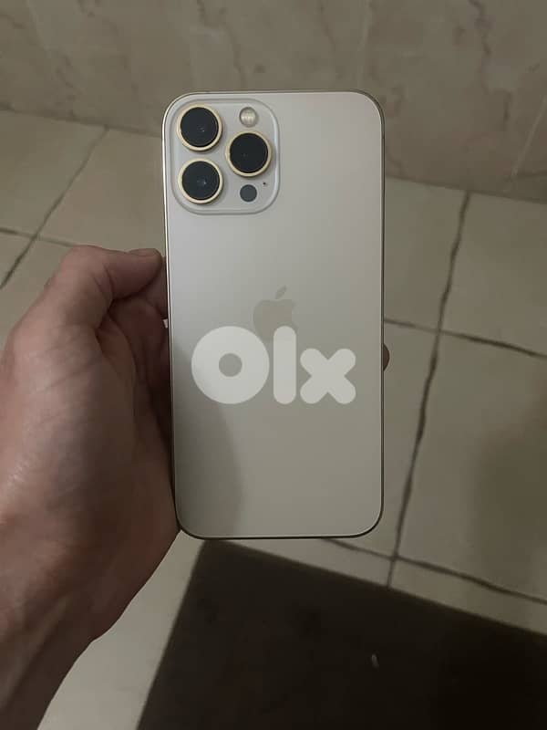13 pro max 1