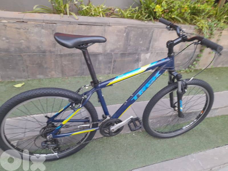 home bike 10