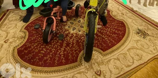 سجادة عجمي مربة و تقيلة ٢٤٠ بي ١٦٠ سعر ٨٠$ سعرها اكتر بكتير