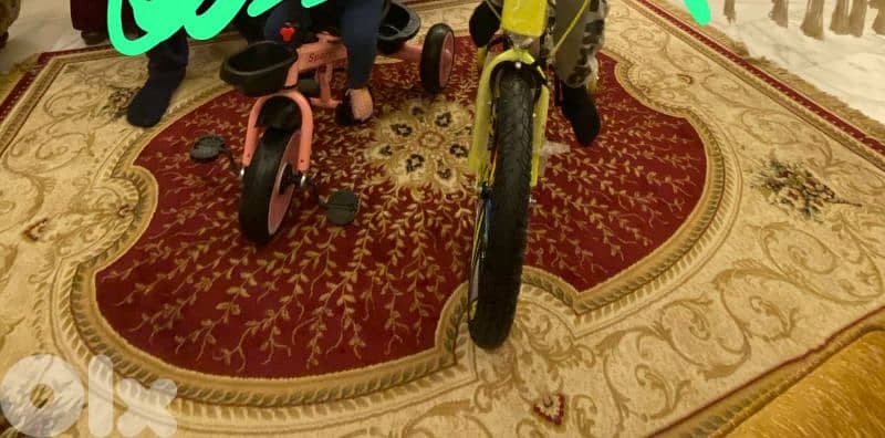 سجادة عجمي مربة و تقيلة ٢٤٠ بي ١٦٠ سعر ٨٠$ سعرها اكتر بكتير 0