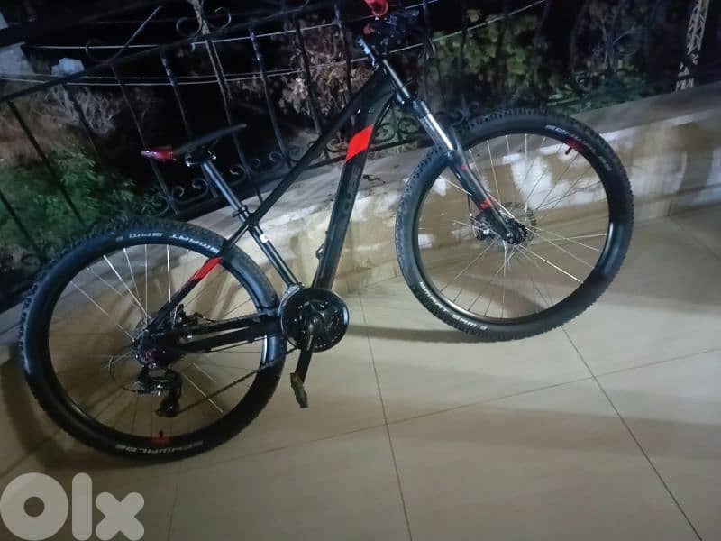Insane mountain bike 2