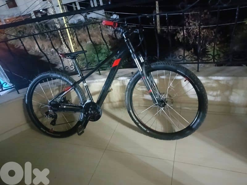 Insane mountain bike 4