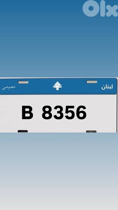 81944954