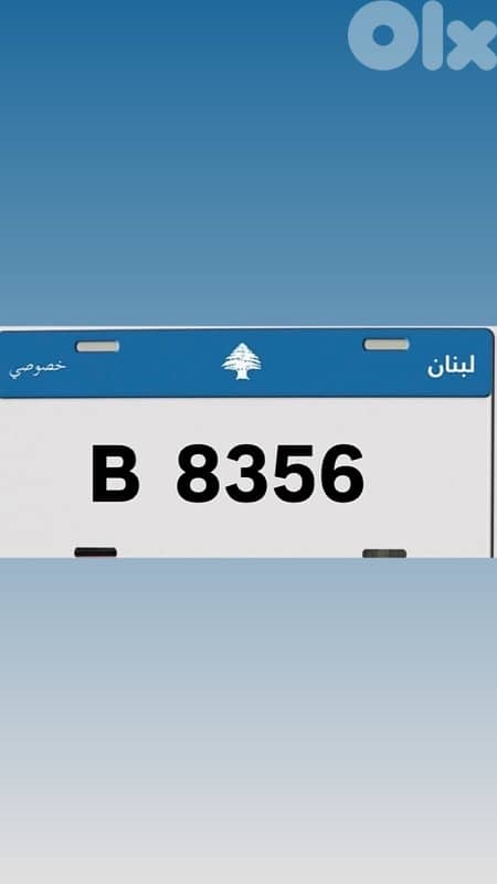 81944954 0