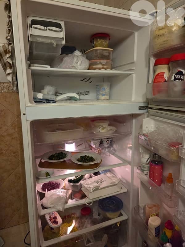 Campomatic Fridge + Freezer 1