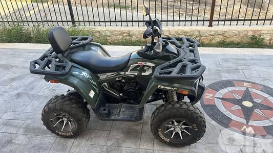 atv tao motor xgt super high quality  250 cc